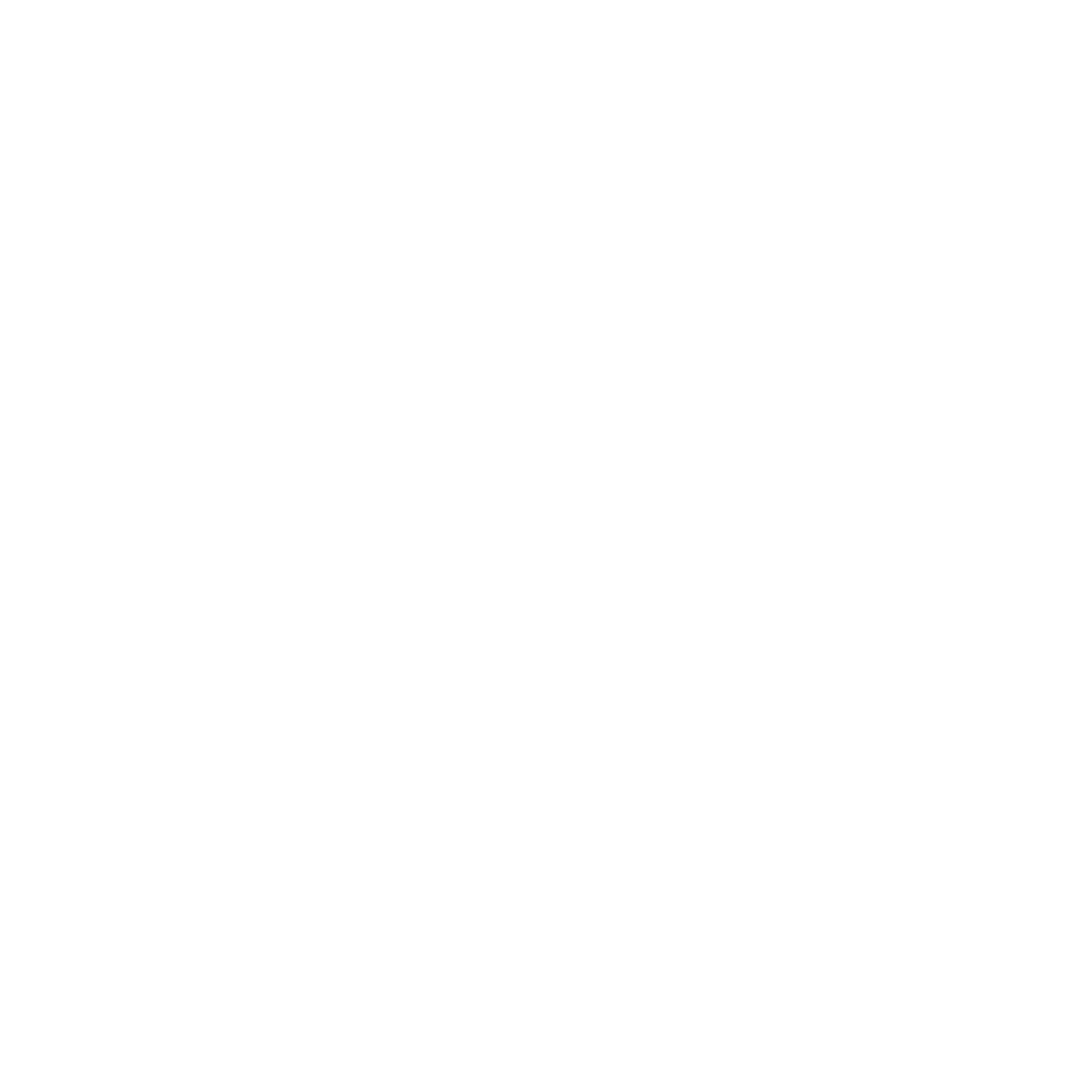 Robin Schiel Logo